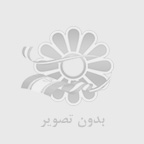 نوشین امینی